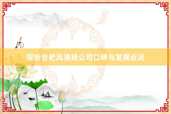 探析合肥风清扬公司口碑与发展近况